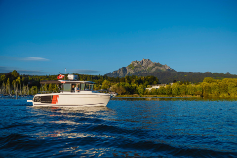 Lake Lucerne: Private Luxury Boat Cruise