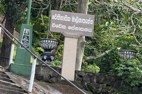 From Colombo: Cave Temples, Jungle Trek & Waterfall Swim