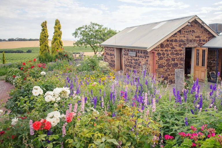 Adélaïde : McLaren Vale Private WineTour+Dégustations de votre choix