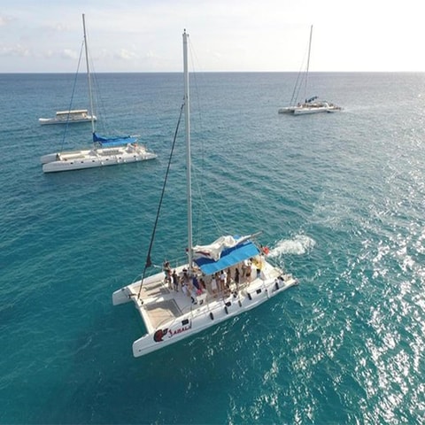 Discover Saona Island: Enjoy The Paradise