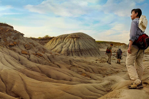 Banff : Visite privée des Badlands avec le musée Royal Tyrrell