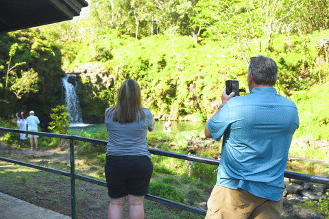 From Maui: Road to Hana Rainforest and Waterfall Experience