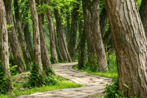Hangzhou Xixi Wetland: Off the Beaten Path Rowboat & Stroll