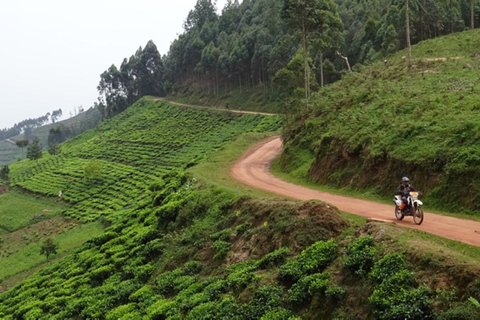 9 dagars upptäcktsfärd med motorcykel i Rwanda och Burundi