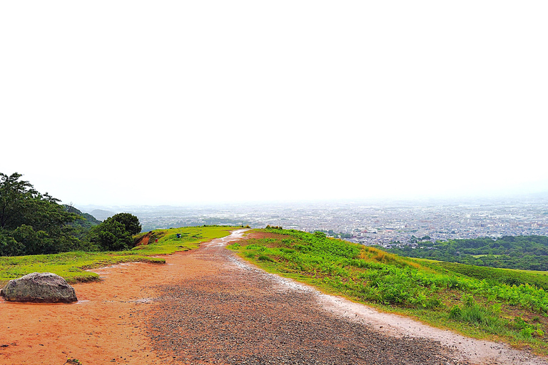 Nara: Hike Mt. Wakakusa and Encounter Wild Free-Roaming Deer
