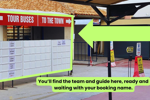 Port de Kuşadası : Éphèse, musée 3D et Artémis