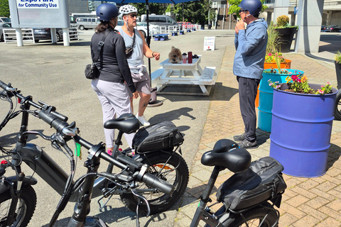 Vancouver Seawall: 3 Hour EBike Rental From Premium Location