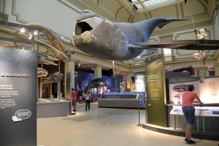 American History/Natural History Museum Combo Guided Tour