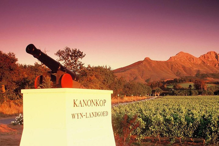 Kapsztad: Wycieczka Wine Lover Winelands z prywatnym transferem