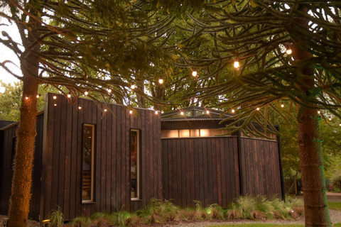 Pablo Bernasconi's Art Gallery Guided Tour