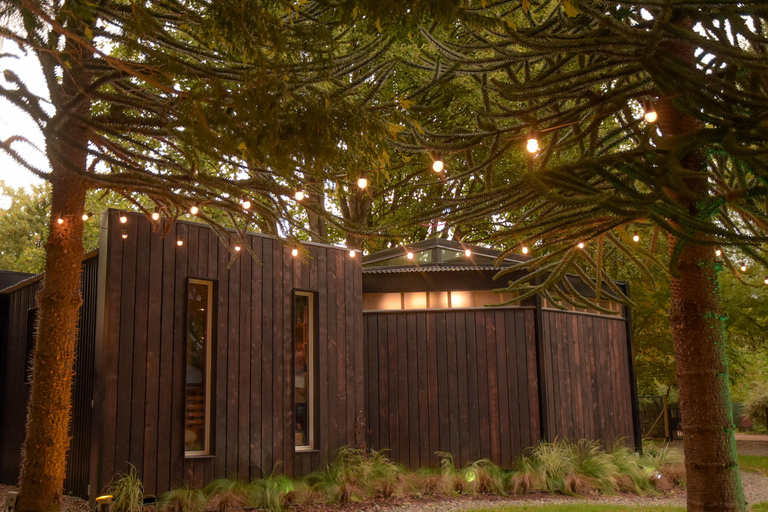 Pablo Bernasconi's Art Gallery Guided Tour