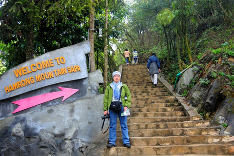 Sapa: "Dragon Jaw Mountain" Panorama Experience