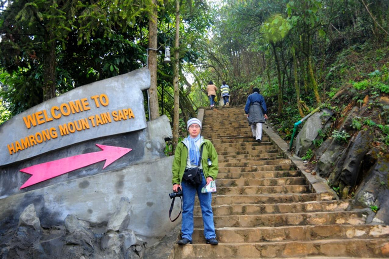 Sapa: "Dragon Jaw Mountain" Panorama Experience