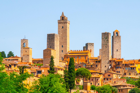 Siena & San Gimignano: Wine & Culinary Tasting from Florence Siena & San Gimignano:Tuscan Lunch, Wine Tasting + Cathedral