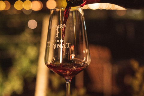 From Colonia: Pueblo Tannat Winery Experience Wine & Cheese Tasting