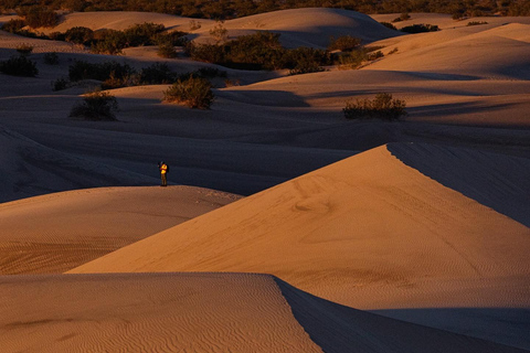 Riyadh:Red Sand Dunes camel ride&Quad&Sandboarding Adventure Private Tour with pick up and drop off from your location