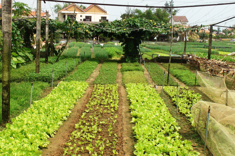 Countryside bike tour, Basket boat and Cooking class From Hoi An