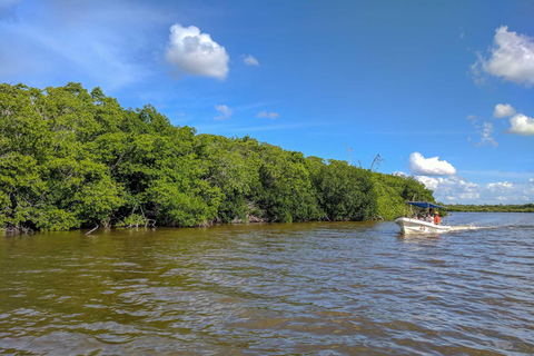 Excursión a Ría Lagartos, Coloradas y Playa CancúnitoMérida: Excursión a Ría Lagartos, Coloradas y Playa de Cancunito