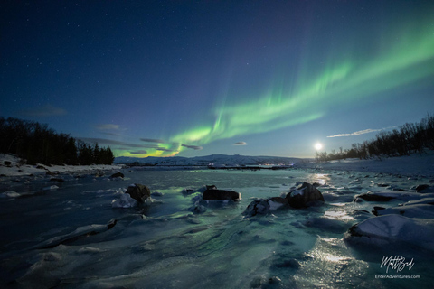 Von Tromsø aus: Nordlichter Bustour