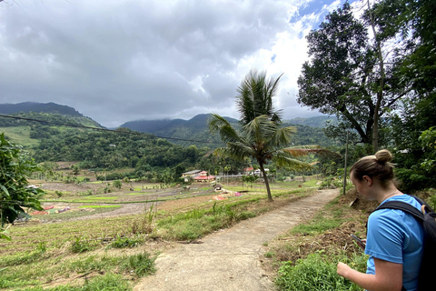 Tedo 7 Waterfalls Peak Adventure – Knuckles Mountain Range