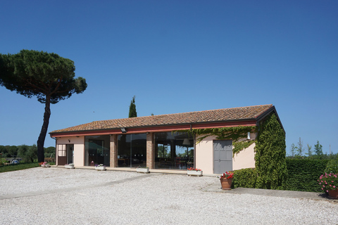 Ab Florenz: Ganztägige Weintour nach Bolgheri