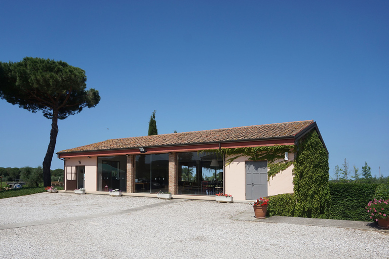 Desde Florencia: Tour de vino por el día de Bolgheri