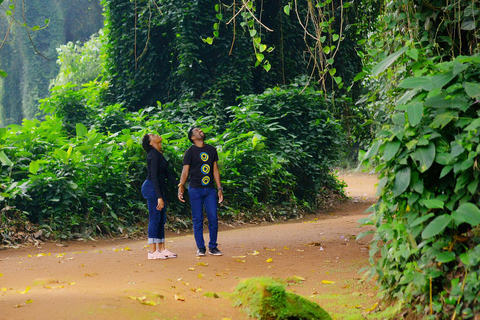 Entebbe : Visita ao Jardim Zoológico e ao Jardim Botânico de Entebbe