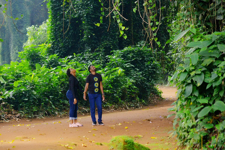 Entebbe : Entebbe Zoo and Botanical gardens Tour