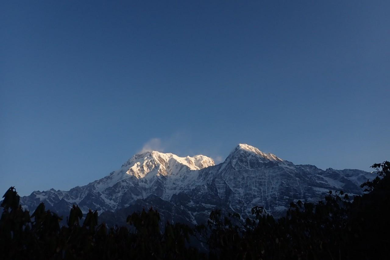 Från Katmandu: 8-dagars Mardi Himal Trek med transfer