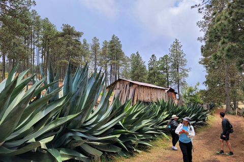 Oaxaca: Sierra Norte Hike & Indigenous Village