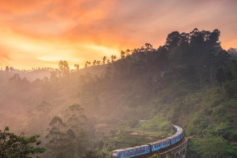 De - Induruwa / Maha Induruwa / Kosgoda Viagem de 1 dia para Ella