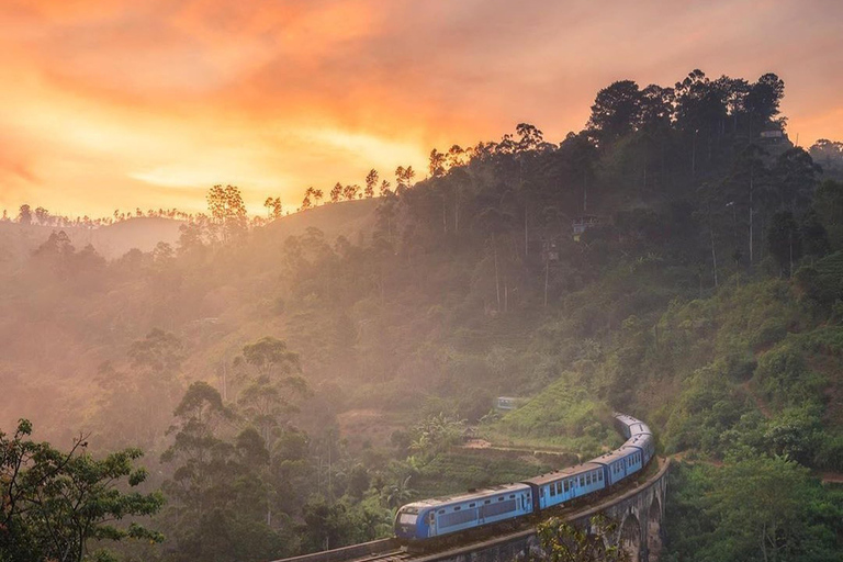 De - Induruwa / Maha Induruwa / Kosgoda Viagem de 1 dia para Ella