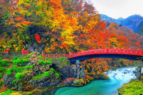 From Tokyo To Nikko Private Day Tour With English Guide