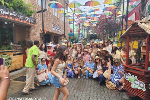 Puerto Plata: Panoramic Tours, Butterfly Garden, Countryside Views