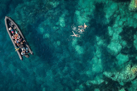 From Cannes: Essential Calanques de l'Estérel Sea Excursion