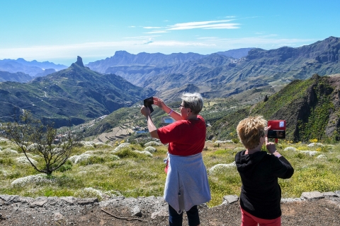 Gran Canaria 7 Beauty Small Group Tour Tapas-Picnic Included