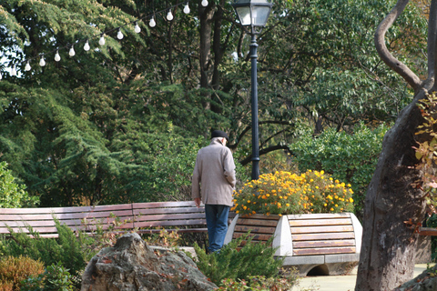 Tbilisi: Mtatsminda — The Hidden Side of the Holy Mountain Small Group - Hidden Side of Mtatsminda