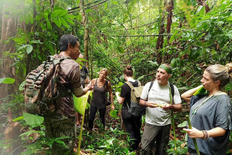 Chiang Rai Trek: 4 Hilltribes Villages & Waterfall Only Walk