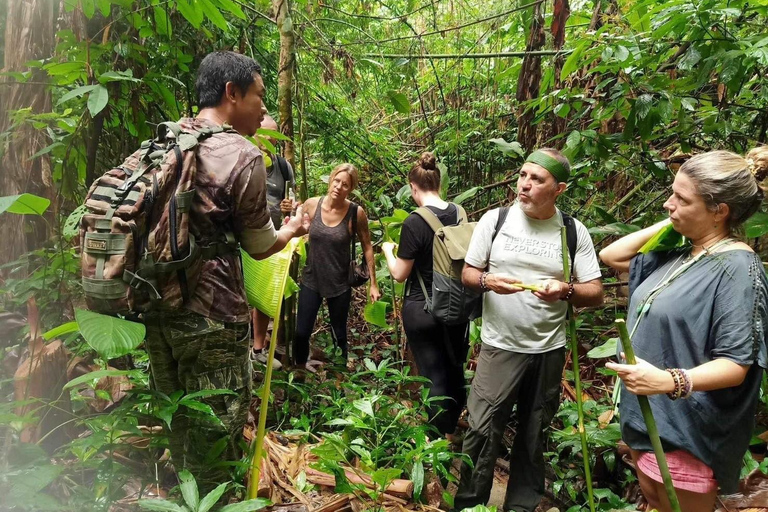 Chiang Rai Trek: 4 Hilltribes Villages & Waterfall Only Walk
