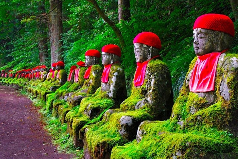 Nikko Tour Turístico Privado Charter con GuíaDesde Tokio: Nikko Tour Privado de un Día