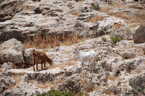 Paphos :Akamas Jeep Safari with cruise to the Blue Lagoon
