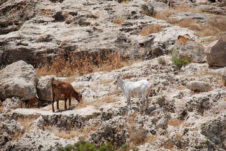 Paphos :Akamas Jeep Safari with cruise to the Blue Lagoon