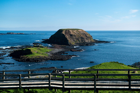Phillip Island Pingvin Direct Sunset TourDagstur med pingvinobservation