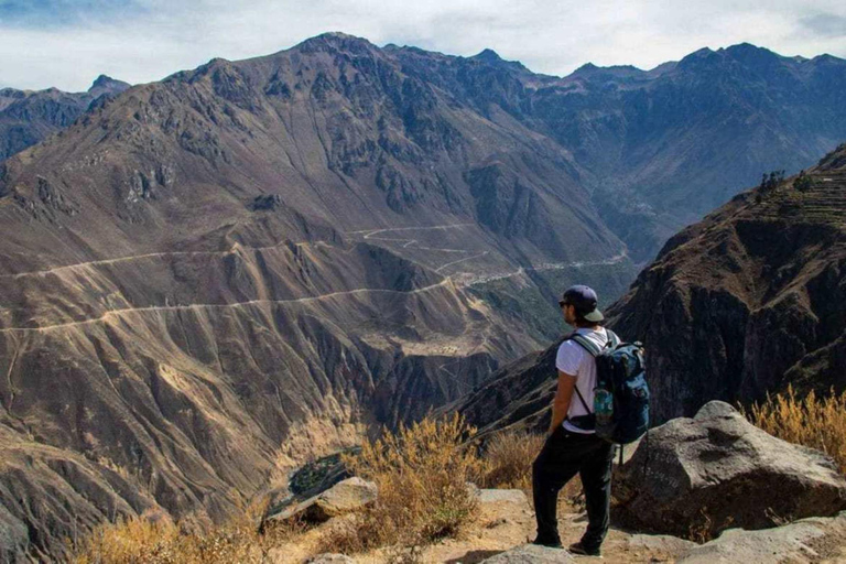 From Arequipa: 2-day Colca hike, meals includedcaminhada