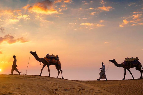 From Jodhpur: Jaisalmer and Khuri Desert 4-Day Tour