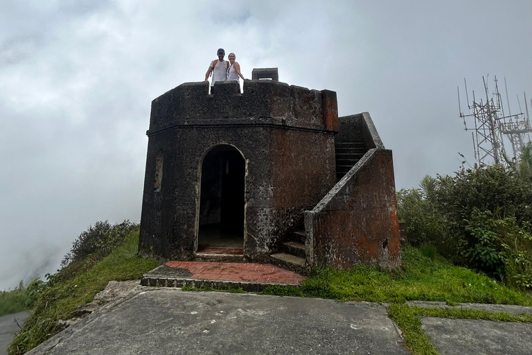 NanichiConcierge: El Yunque hiking (Contact first) NanichiConcierge: Tour with beautiful views and hiking.