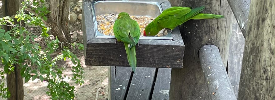 Cartagena : Visite du parc national de la volière avec prise en charge à l'hôtel
