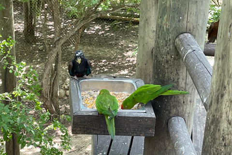 Cartagena: Aviary National Park Tour with Hotel Pickup