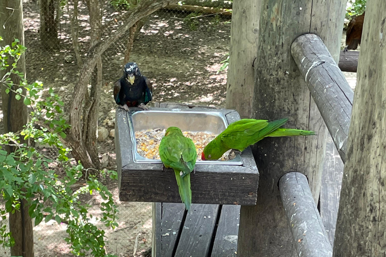 CARTAGENA: Aviary and Beach Day Trip with Lunch