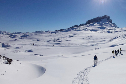 Snowshoe tour Ifen/Gottesacker Allgäu Kleinwalsertal